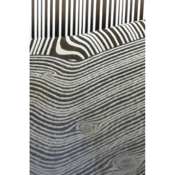 Roll Up rileva ammaccature - immagine 7